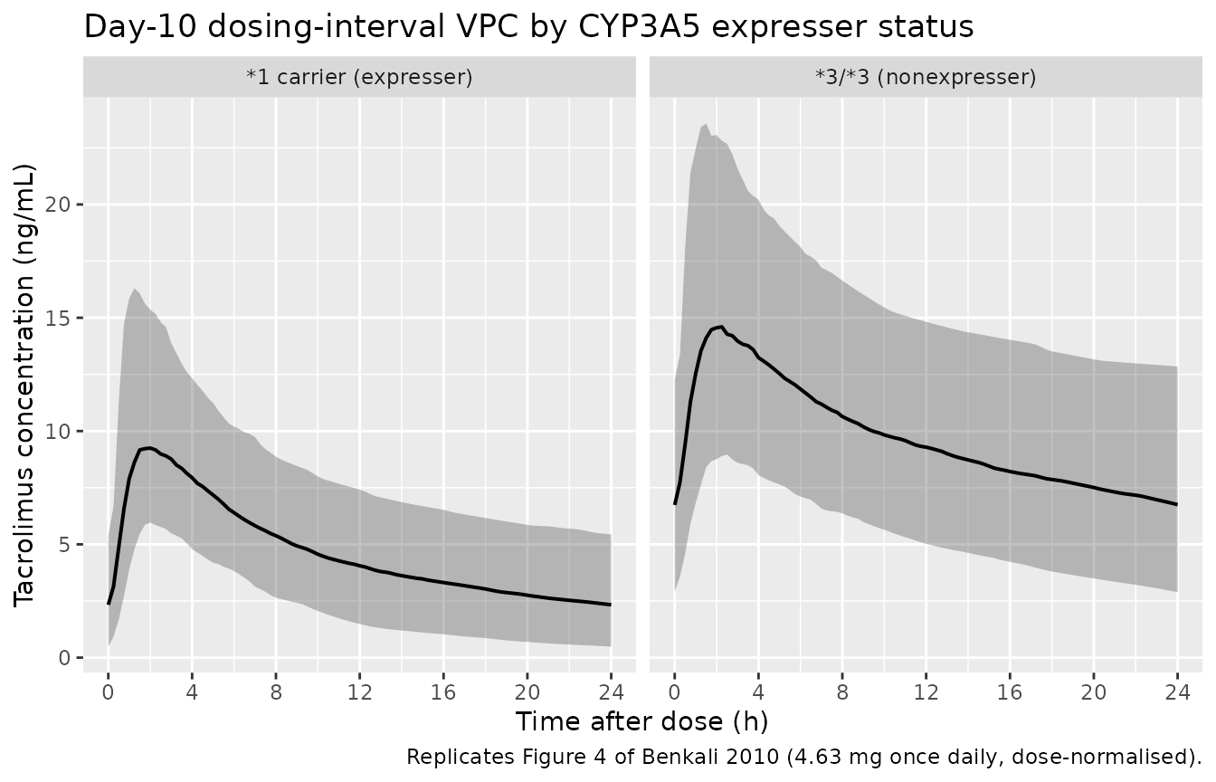 Replicates Figure 4 of Benkali 2010: simulated whole-blood tacrolimus concentration vs. time after the day-10 4.63 mg once-daily dose, stratified by CYP3A5 expresser status. Ribbons show the 5th-95th percentile band; line is the median.