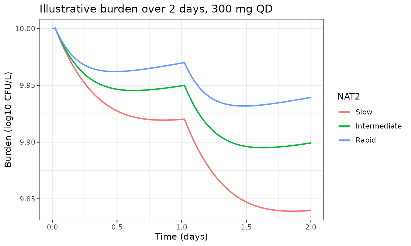 Mycobacterial burden over two days of 300 mg QD isoniazid, driven by the illustrative NAT2-specific exposures above.