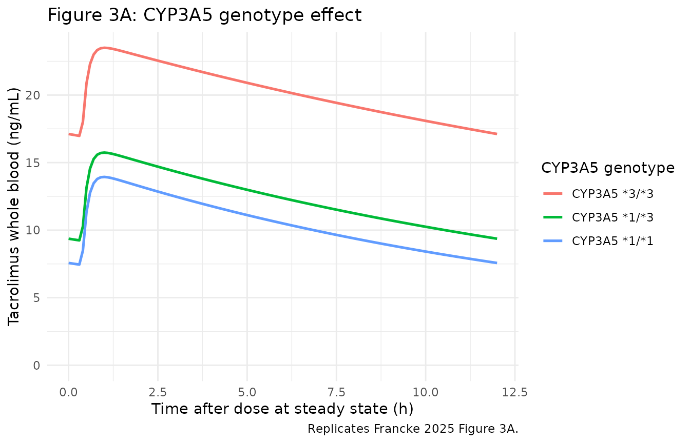 Figure 3A: CYP3A5 genotype.