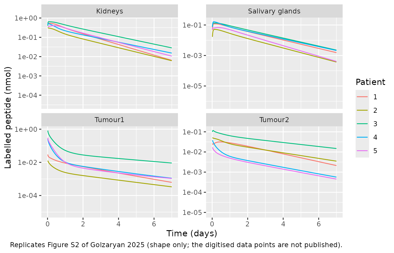Replicates the shape of Figure S2 of Golzaryan 2025: model-predicted labelled-peptide content of each region of interest after the clinically administered single infusion.