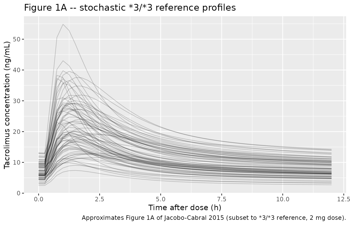 Approximates Figure 1A of Jacobo-Cabral 2015: stochastic individual concentration-time curves over the final 12 h interval at the *3/*3 reference genotype on the reference formulation (2 mg dose).