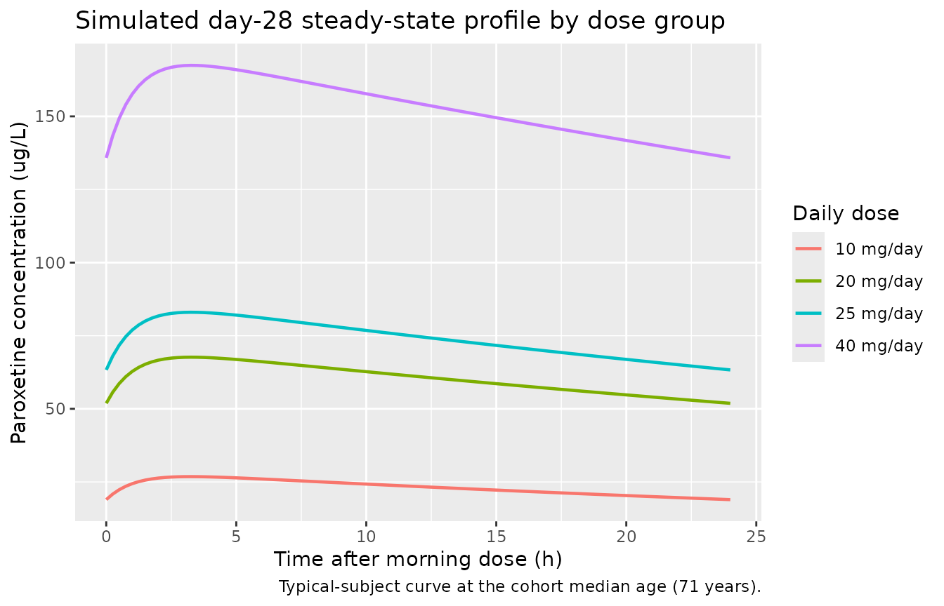 Simulated typical-subject steady-state paroxetine concentration profile over the day-28 dosing interval (median age = 71 years). The 10, 20, 25, and 40 mg/day cohorts span the daily-dose categories reported in Kim 2015 Table 3.