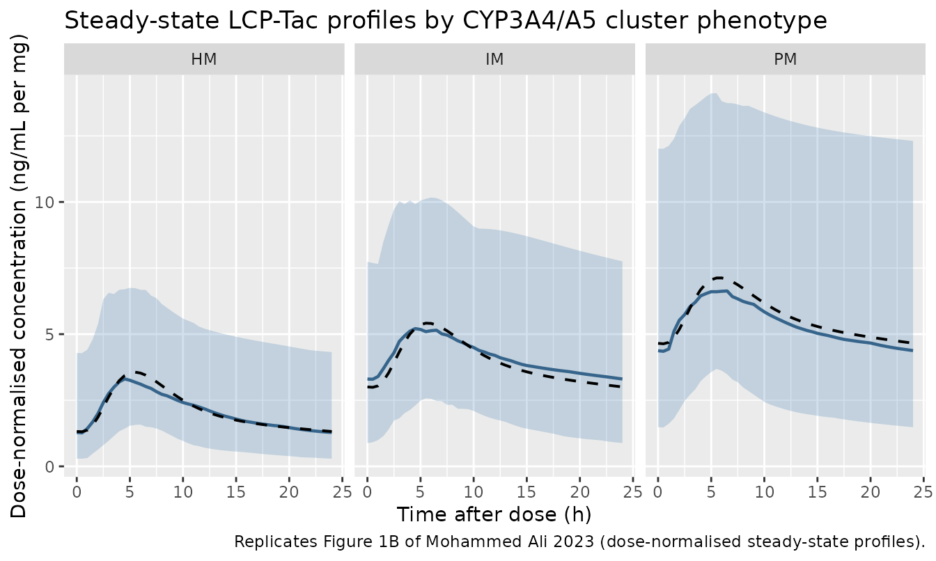 Replicates Figure 1B of Mohammed Ali 2023: dose-normalised steady-state whole-blood tacrolimus profiles after LCP-Tac, here stratified by CYP3A4/A5 cluster phenotype. Solid line = median, ribbon = 5th-95th percentile of the simulated cohort; dashed line = typical-value (zeroRe) prediction.