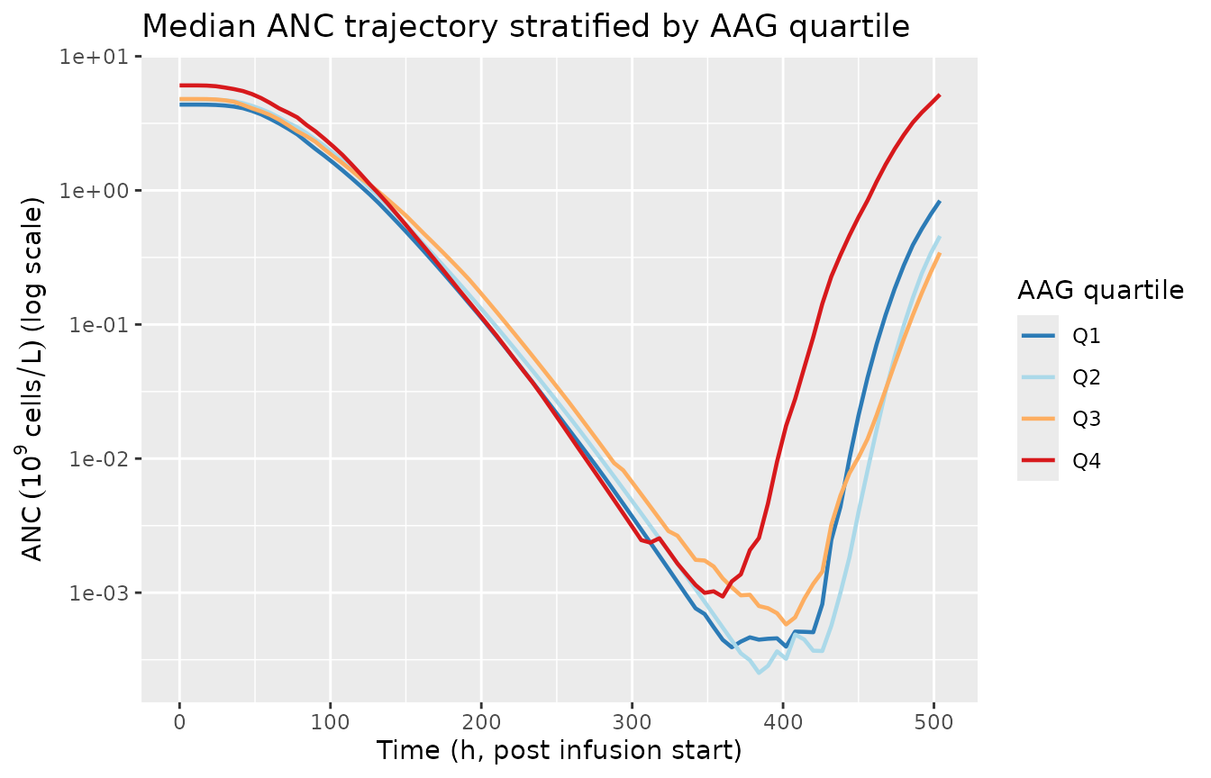 Median ANC trajectory by AAG quartile in the virtual cohort. AAG above the median 1.34 g/L meaningfully shifts both baseline ANC (steeper above-median slope) and the drug-effect slope, producing the lifted post-recovery overshoot characteristic of high-AAG cancer cohorts.