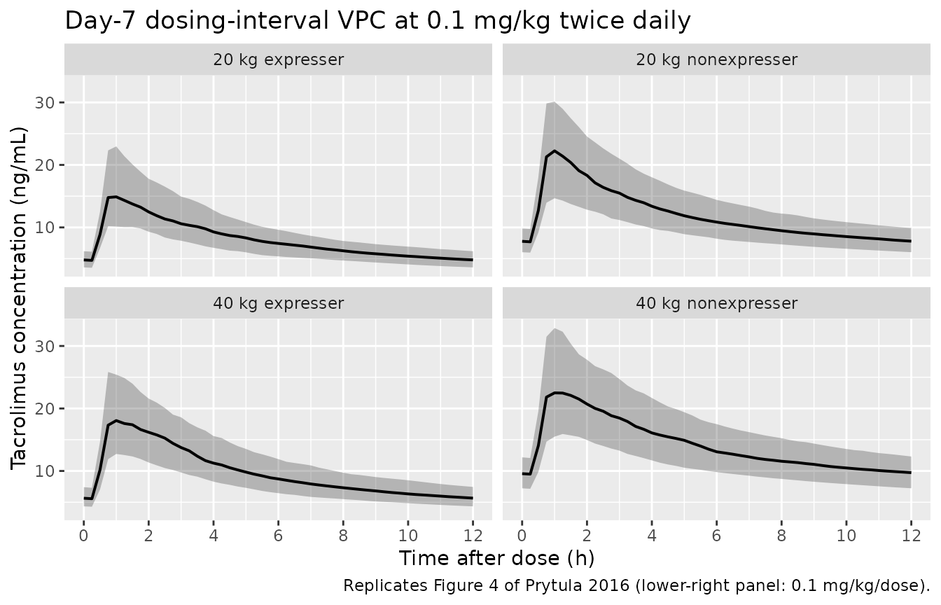 Replicates Figure 4 of Prytula 2016: simulated tacrolimus concentration vs. time after the last day-7 dose, stratified by body weight and CYP3A5 genotype, at 0.1 mg/kg twice daily (0.2 mg/kg/day).