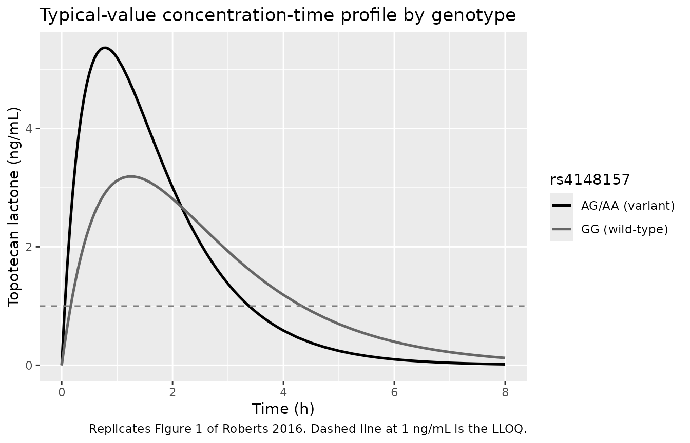 Replicates Figure 1 of Roberts 2016: simulated typical-value concentration-time profile by rs4148157 genotype at the cohort-median BSA (0.57 m^2). Variant carriers (AG/AA) display a sharper rise to a higher Cmax.