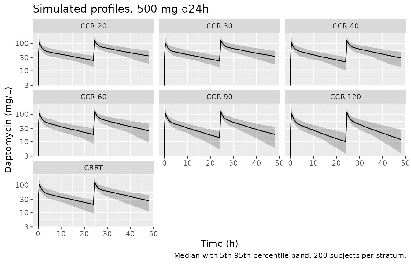 Simulated daptomycin serum concentration-time profiles over the first two dosing intervals, 500 mg q24h, by renal stratum. Compare with Figure 1 of Wu 2024 (observed profiles in the 64-patient cohort, all of whom received 500 mg q24h).
