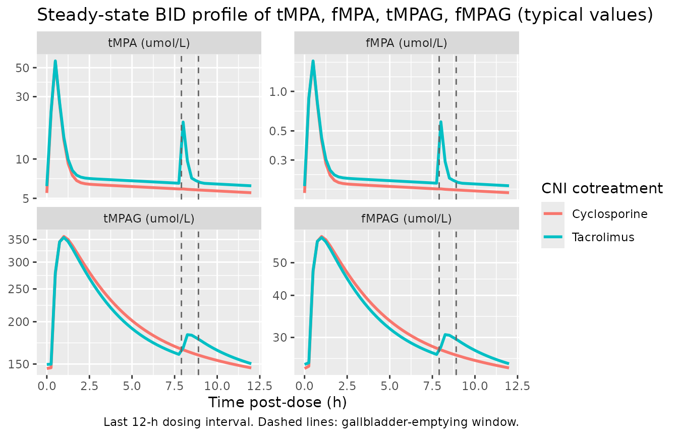 Typical-value steady-state profiles for the final BID dosing interval (t in [240, 252] h post-first-dose). Vertical dashed lines: gallbladder-emptying window (TGB = 7.9 h post-dose, DGB = 1.0 h). Note the EHC second peak on tMPA in the tacrolimus arm at 8 h post-dose; cyclosporine suppresses this by ~99.8% via MRP2 inhibition.